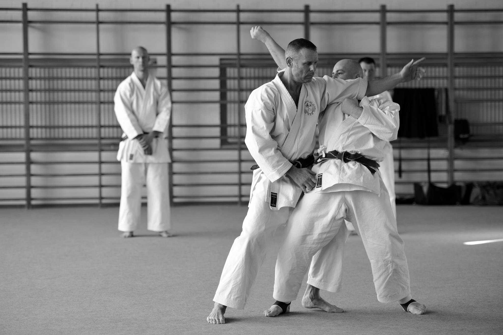 Wado-Ryu Lehrer Roland und Thomas zeigen Übung